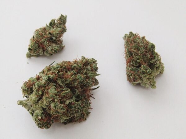Sour Tangie Cannabis strain AAA